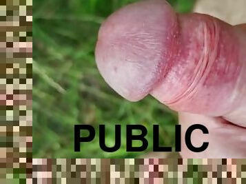 Public masturbation