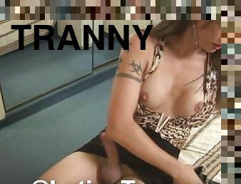 tranny, segane