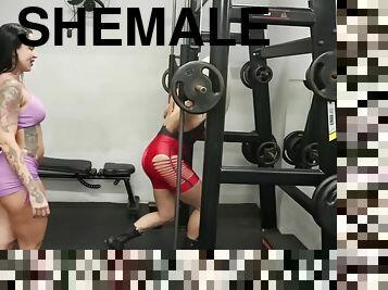 Big tits shemale fucked in the gym