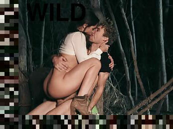 cona-pussy, floresta, selvagem-wild