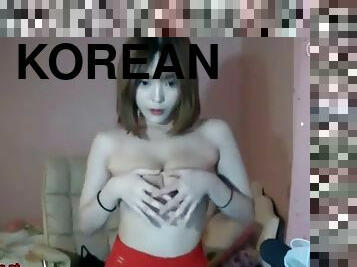 Korean busty camgirl shows her big tits