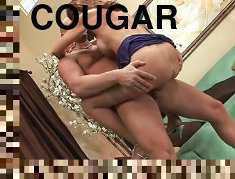 Cougar wants a try