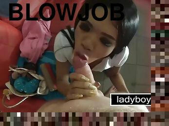 Get a blowjob from a hot Asian lboy in Thailand