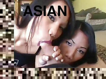 asien, twins