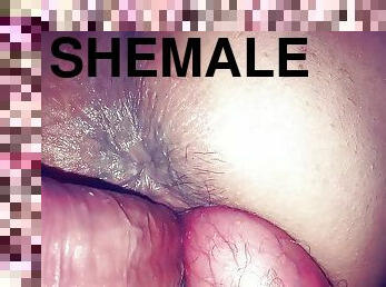 shemale, amatööri, anaali, teini, pari, nussiminen, dildo, meksikolainen, soolo