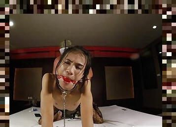 azijiečiai, shemale, mėgėjai, analinis, čiulpimas, paauglys, atviras, bdsm, ladyboy, pov