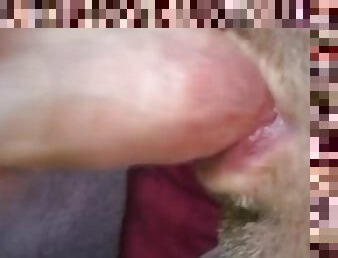 I Wanted His Cum In My Mouth So Bad!