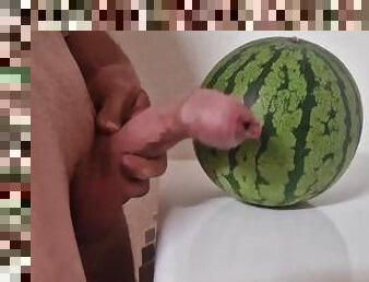 White Cock Vs Watermelon Made the Melon look Small ????